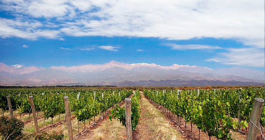MENDOZA CON CACHEUTA - VACACIONES DE INVIERNO