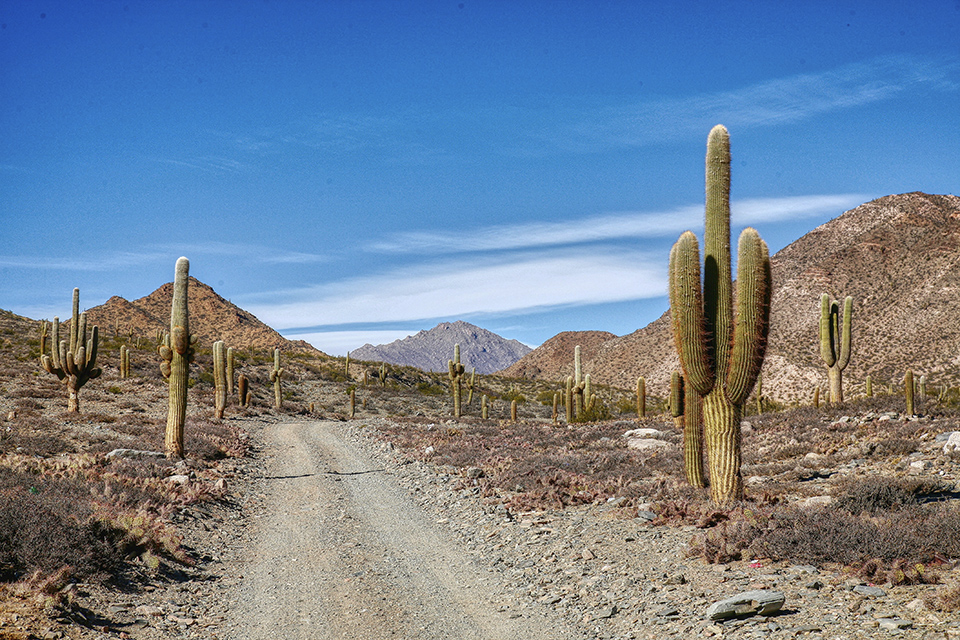 SALTA C/ CAFAYATE - VACACIONES DE INVIERNO